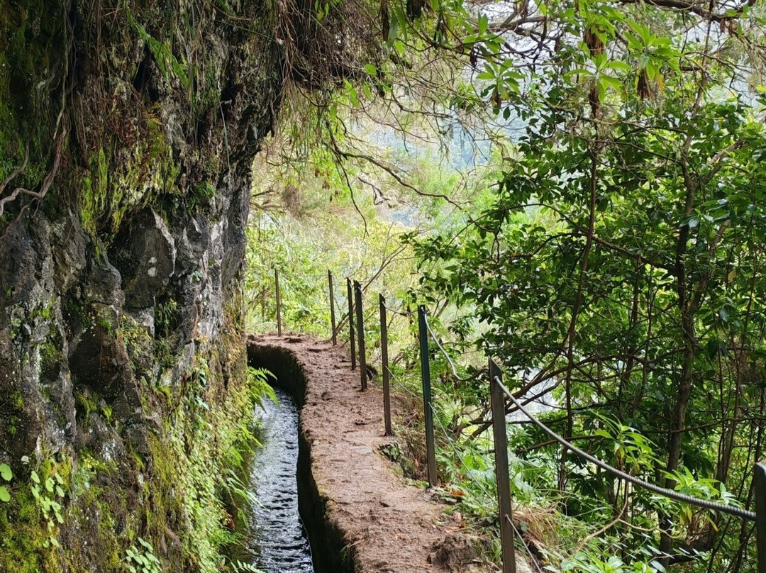 Levada Do Caldeirao Verde-Santana必去景点