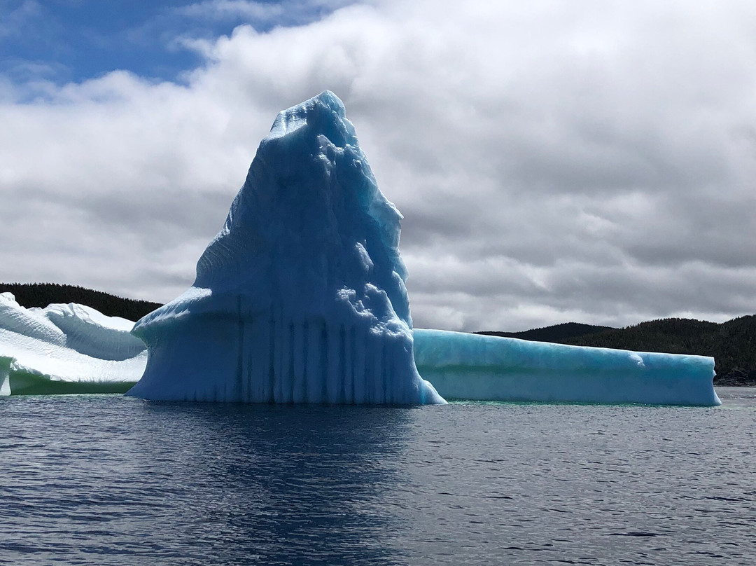 Twillingate Adventure Tours-Twillingate必去景点
