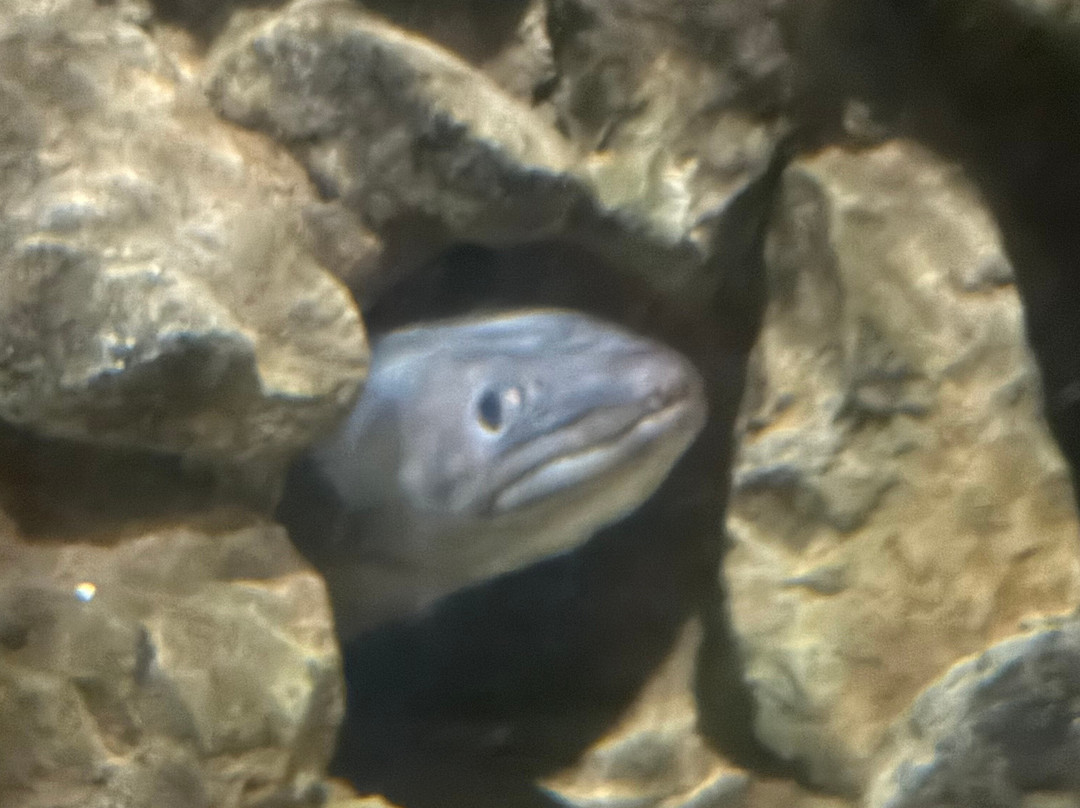 Lake District Coast Aquarium-Maryport必去景点