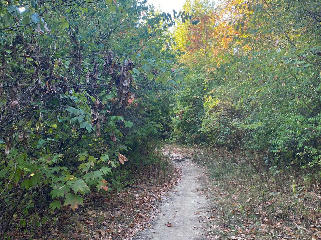 A.W. Marion State Park-Circleville必去景点