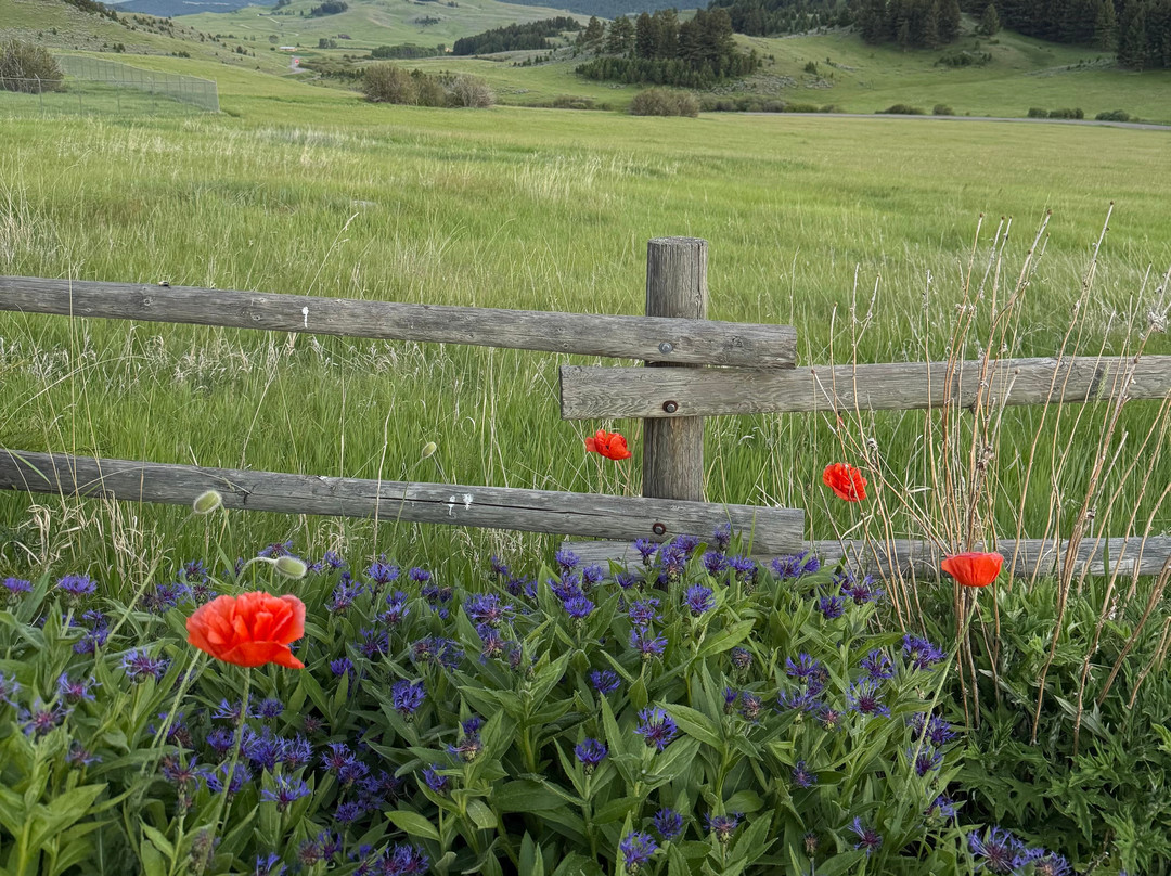 Howlers Inn Bed & Breakfast and Wolf Sanctuary主图