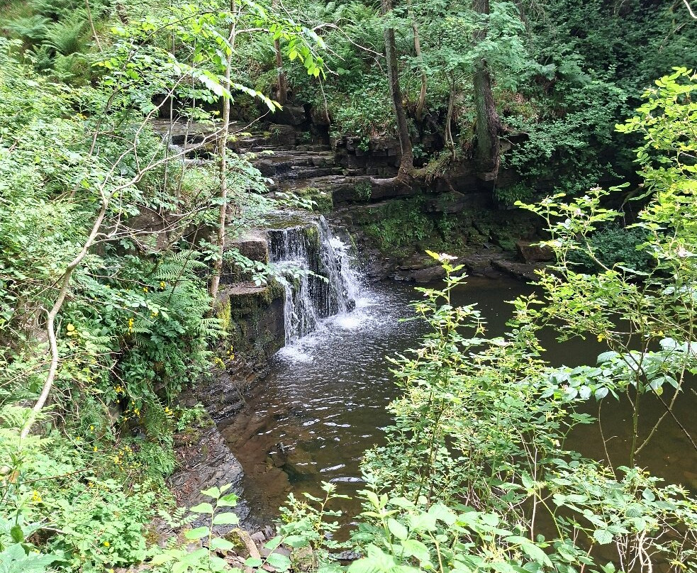 Garrigill Ashgill Force-Garrigill必去景点