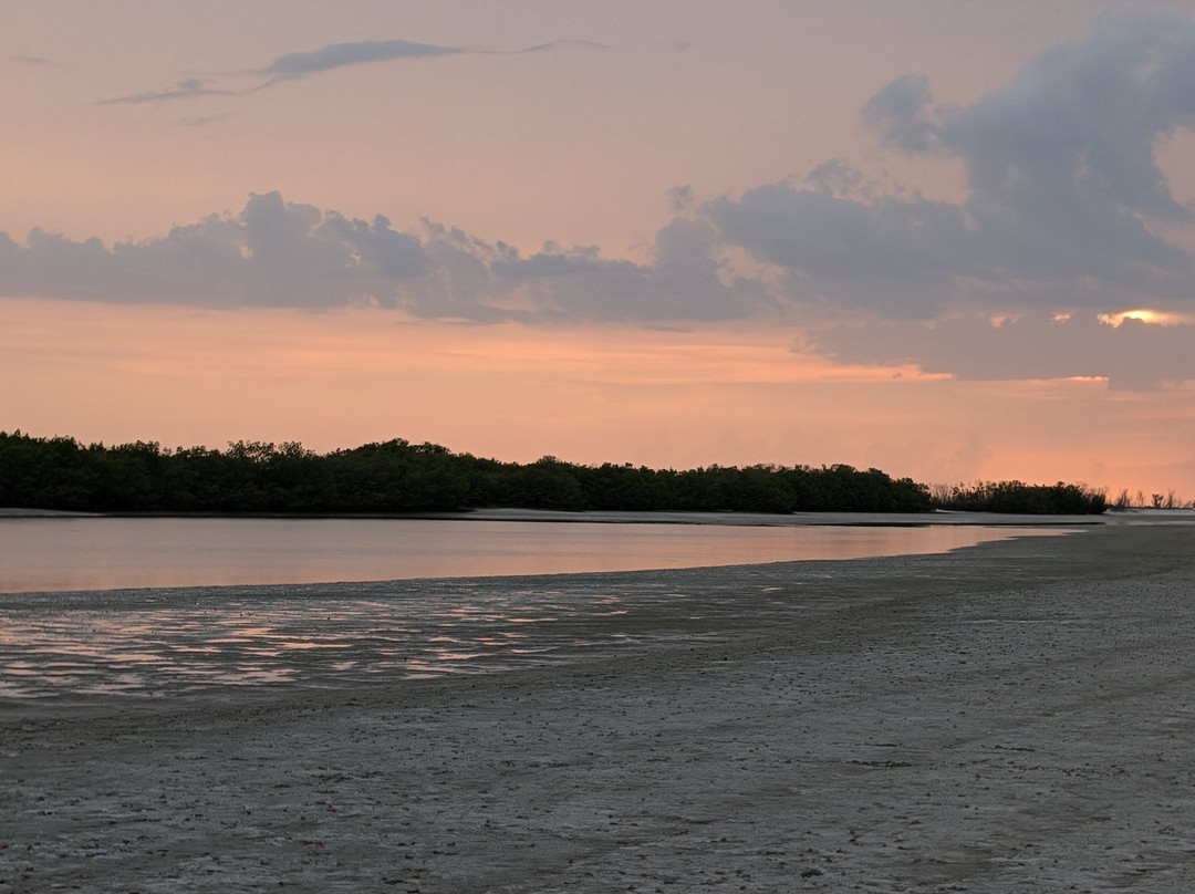 Tigertail Beach-马可岛必去景点