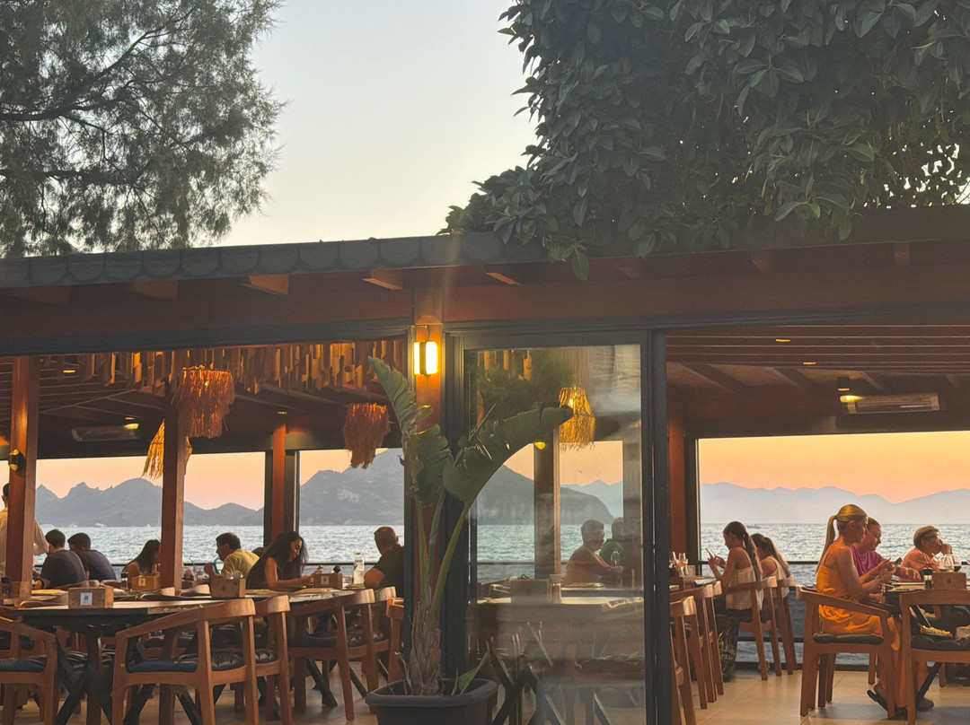 Salt Kitchen & Lounge