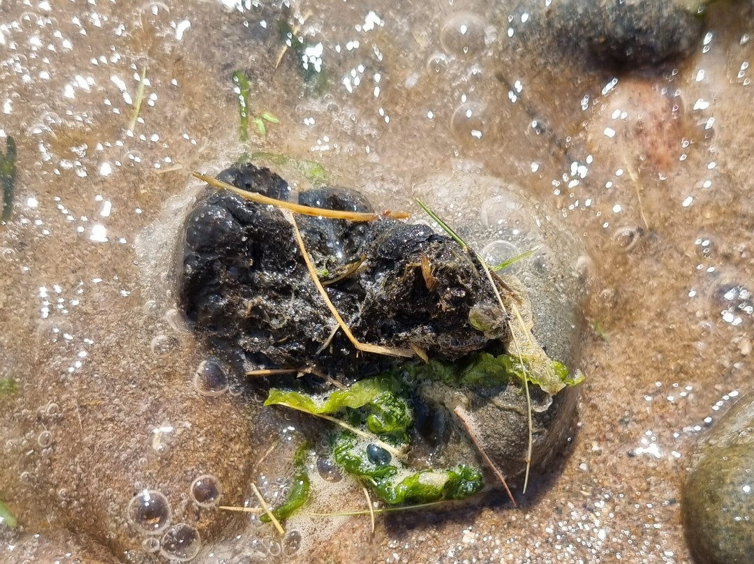 Haverigg Beach-Millom必去景点