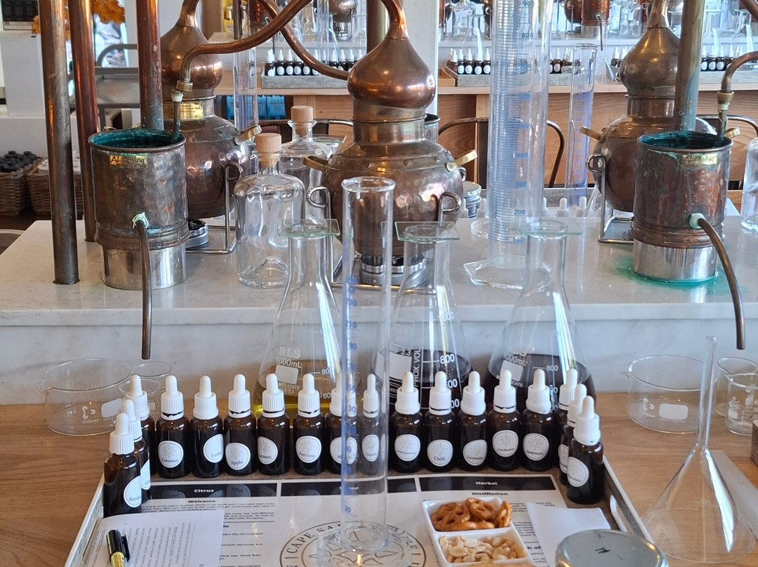 Cape Saint Blaize Distillery-莫塞尔贝必去景点