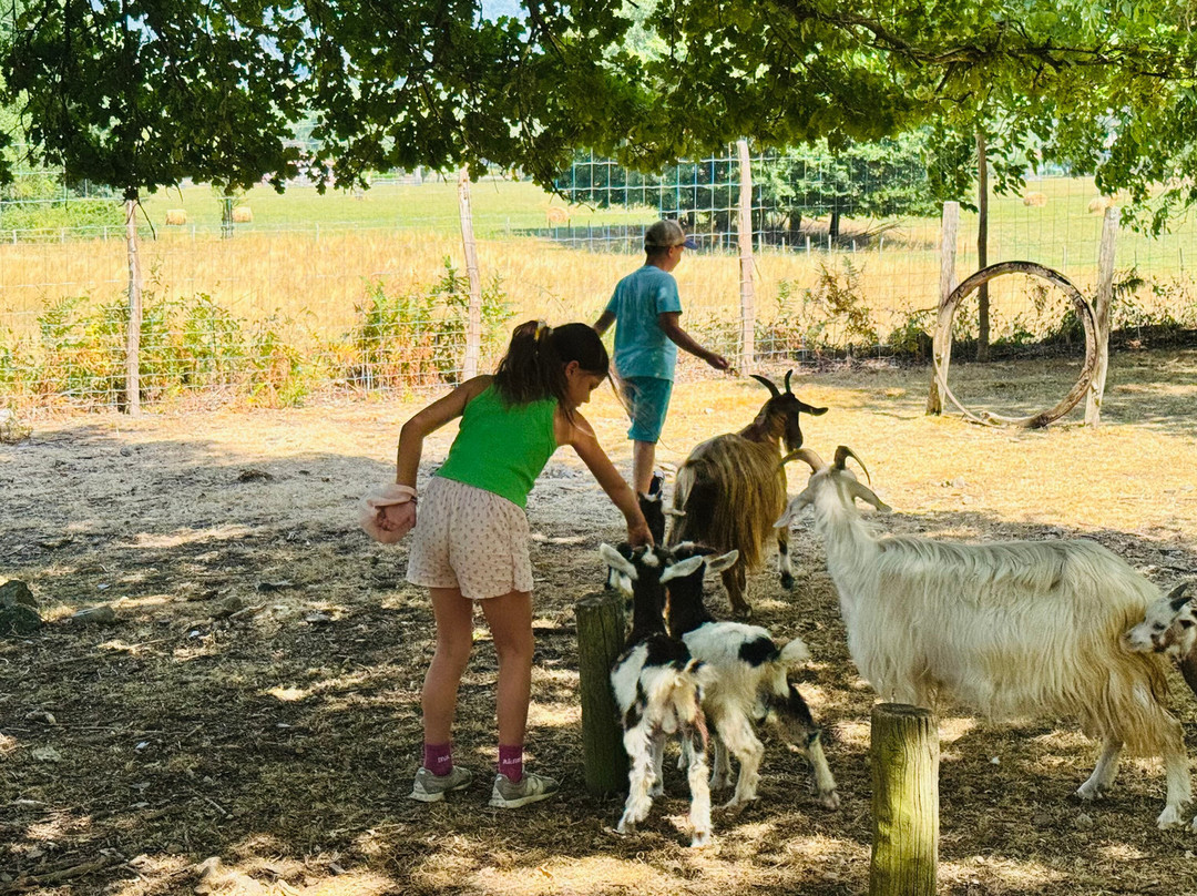 Ferme Pedagogique Les Jours Heureux-Salechan必去景点