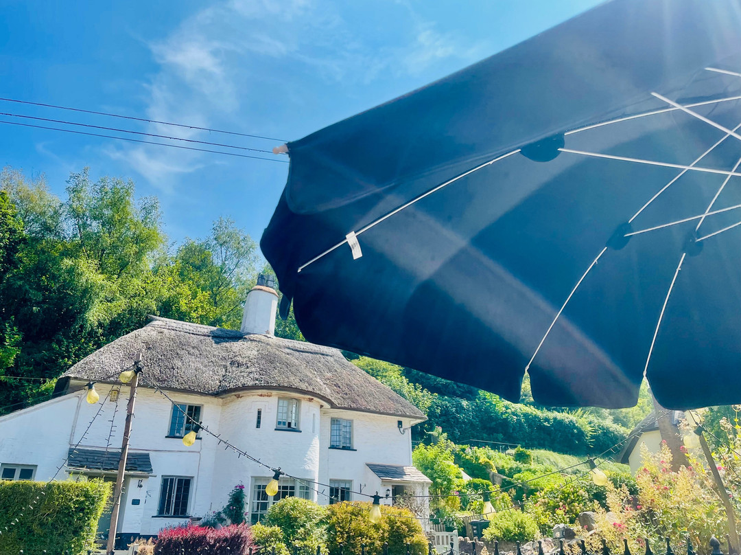 Exmoor National Park餐馆和美食-The Royal Oak Inn