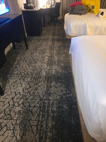 巴尔的摩北喜来登酒店-旅行者