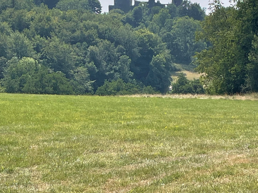 Dinefwr Castle-兰代洛必去景点