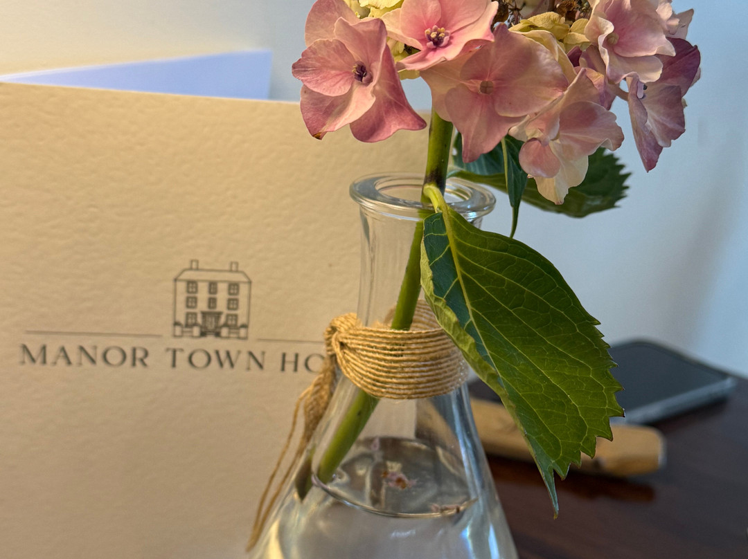 Manor Town House主图