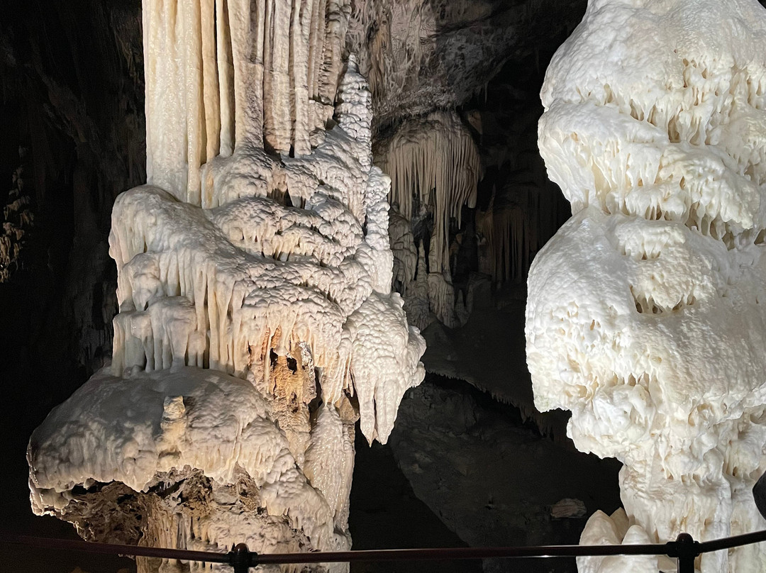 Postojna Cave-波斯托伊纳必去景点