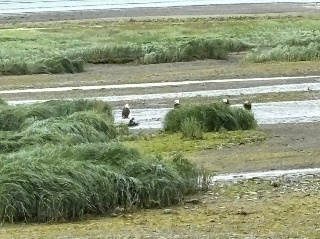 Eagle Beach-朱诺必去景点