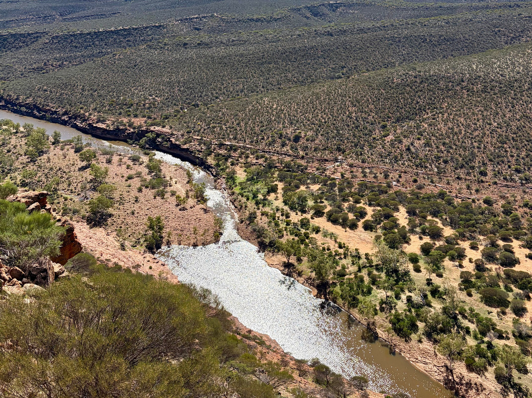 Kalbarri Skywalk-卡尔巴里必去景点
