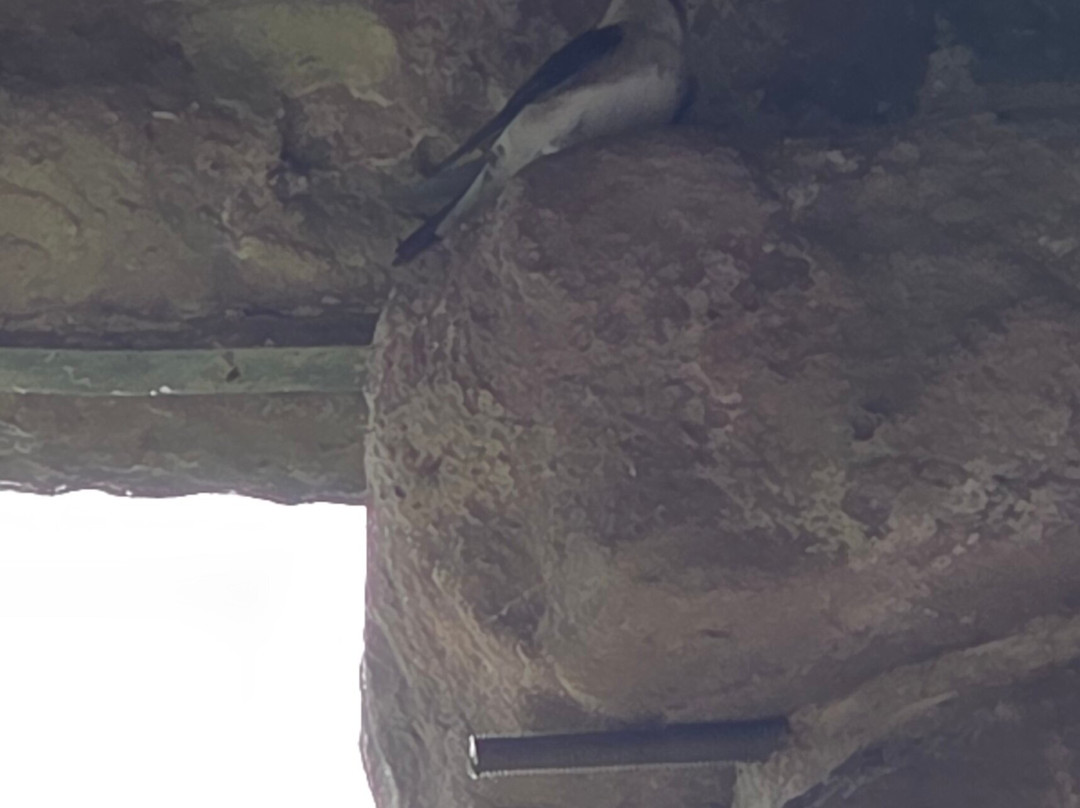 Goodrich Castle-Walford必去景点