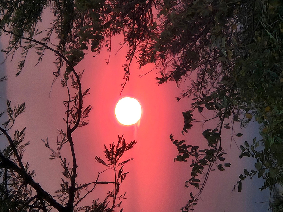 Mbuni Tented Camps-Seronera必去景点