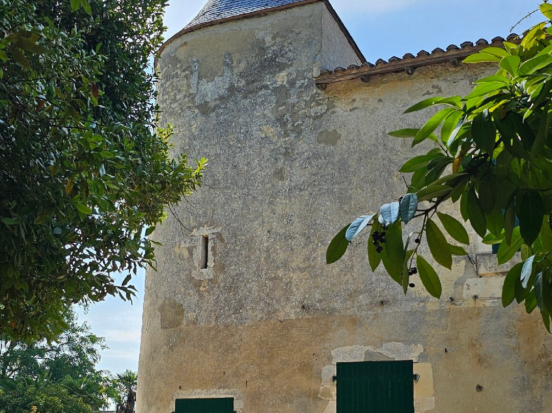 Chateau de Bonnemie-Saint-Pierre-d'Oleron必去景点