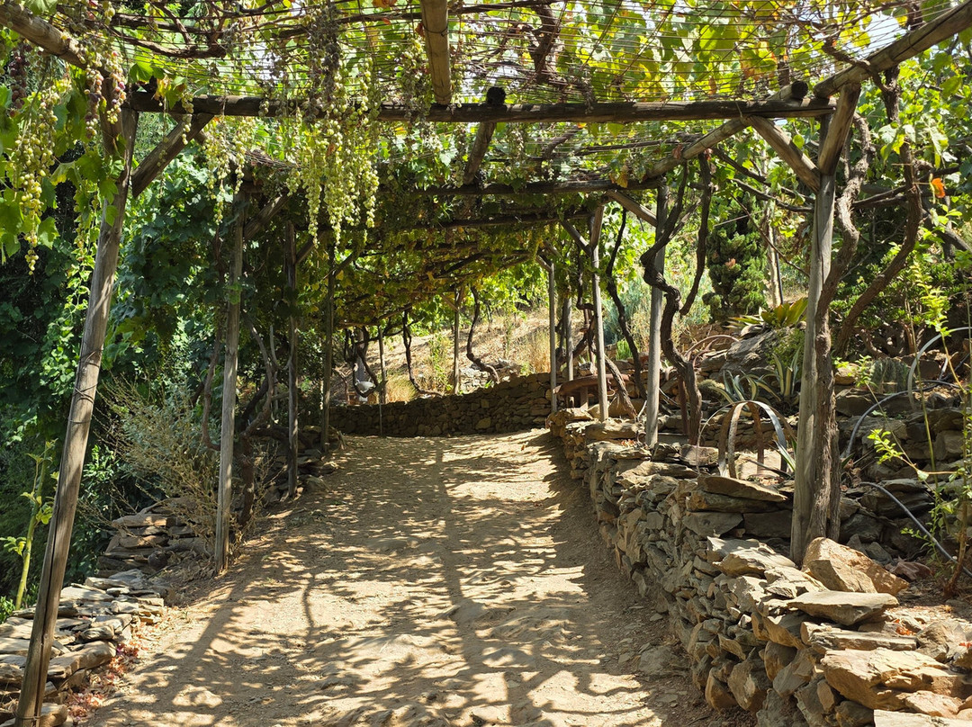 Botanical Garden Of Crete-Fournes必去景点