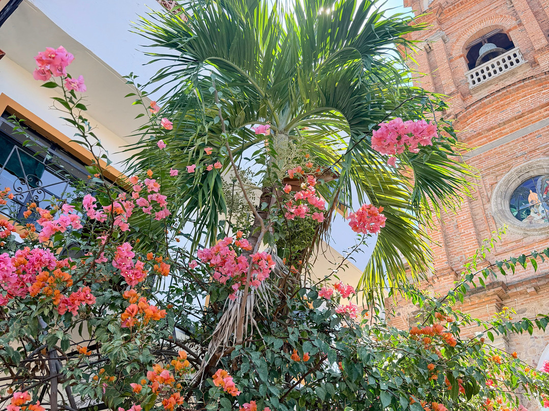 Parroquia de Nuestra Señora de Guadalupe-瓦拉塔港必去景点