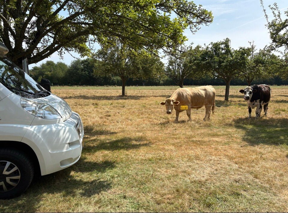 Camping Aire Naturelle