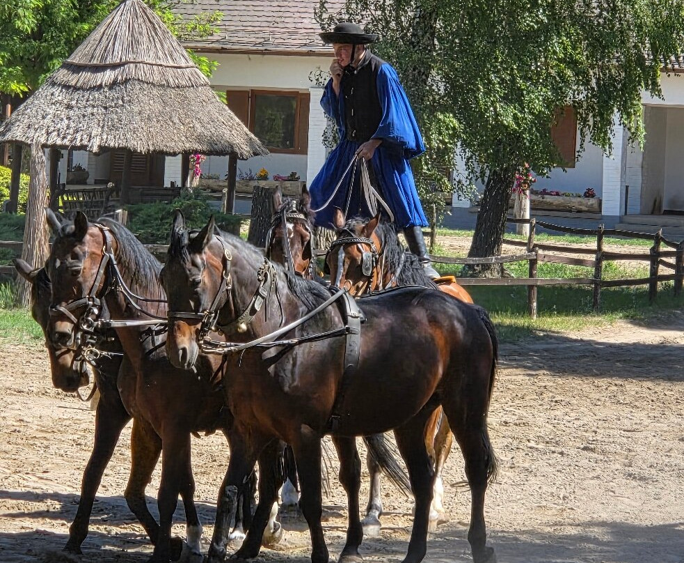 Varga Tanya Horse Show-Kerekegyhaza必去景点