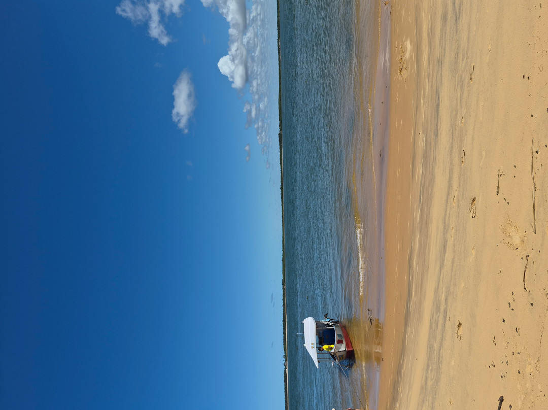 Farol da Foz Ecoturismo-Piacabucu必去景点