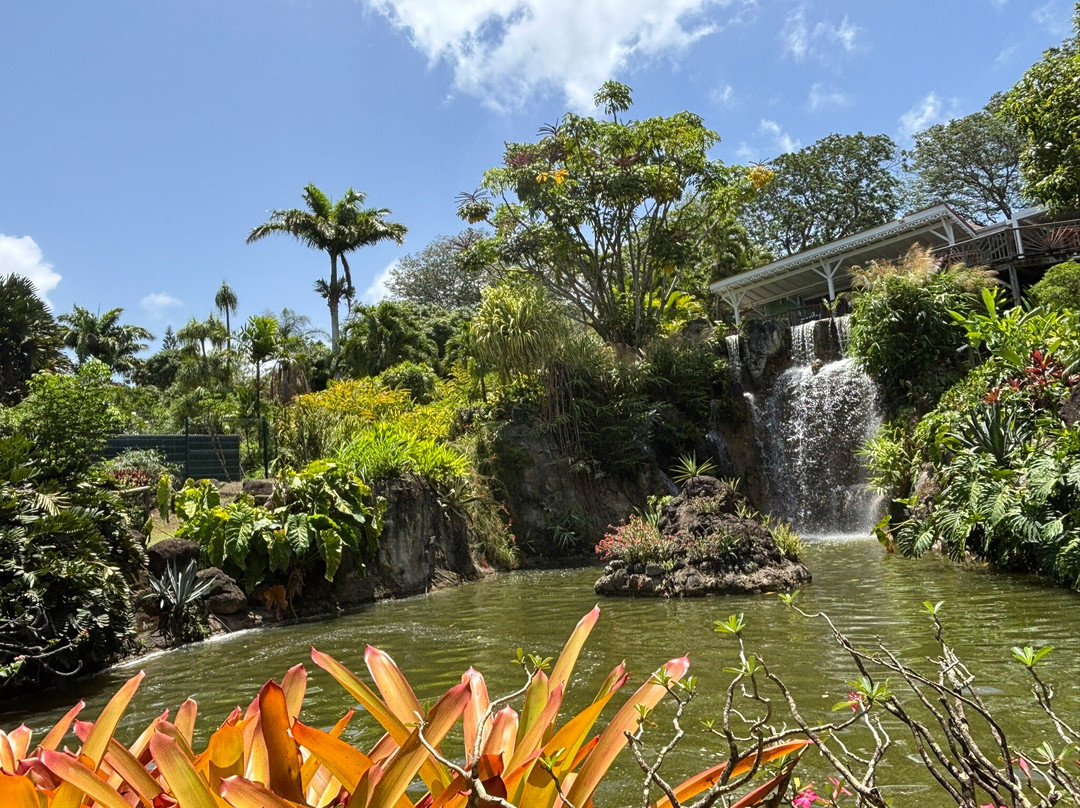 Jardin Botanique de Deshaies-Deshaies必去景点