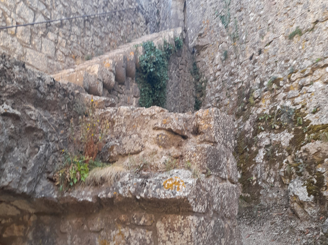 Chateau de Peyrepertuse-Duilhac-sous-Peyrepertuse必去景点