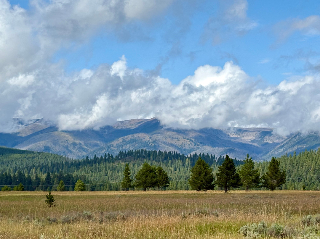 Lost Moose Meadows Campground