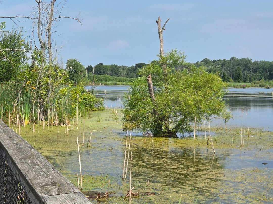 Iroquois National Wildlife Refuge-Basom必去景点