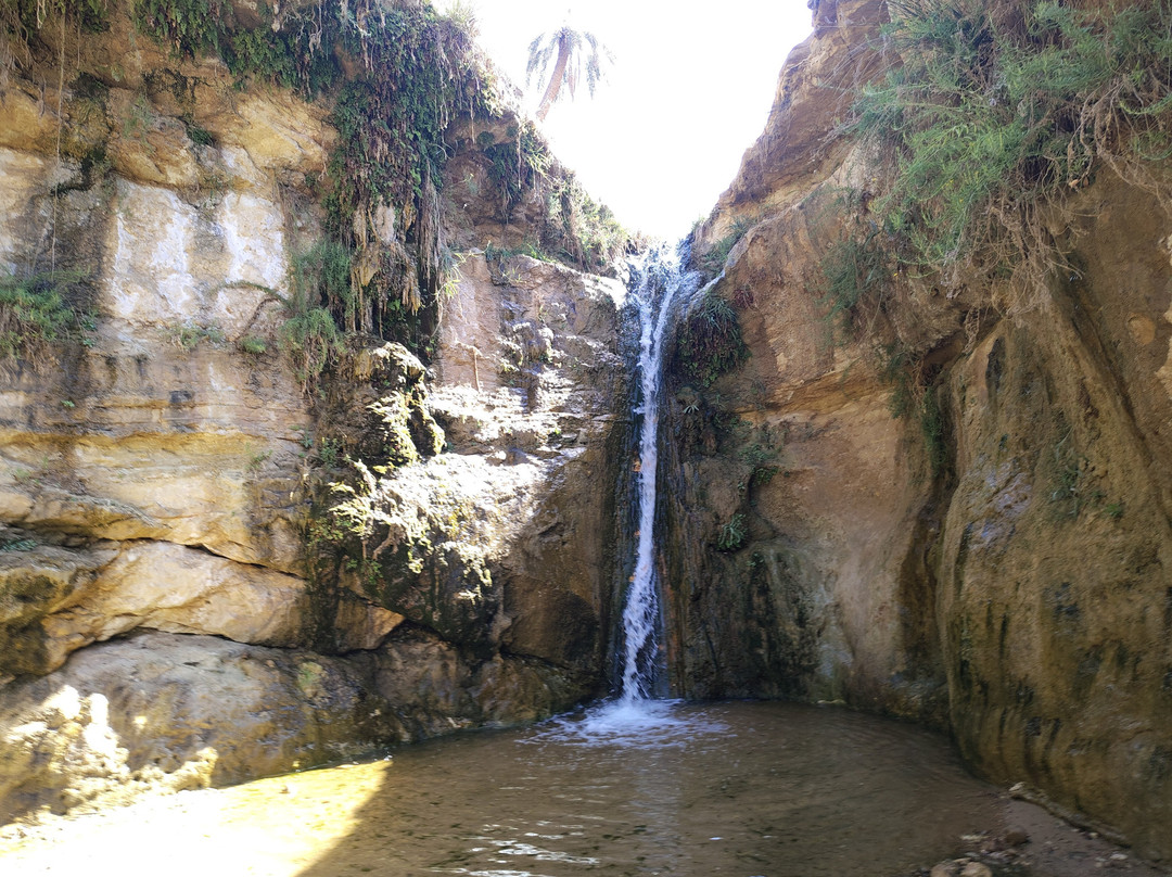 Tamerza Canyon-吐泽尔必去景点