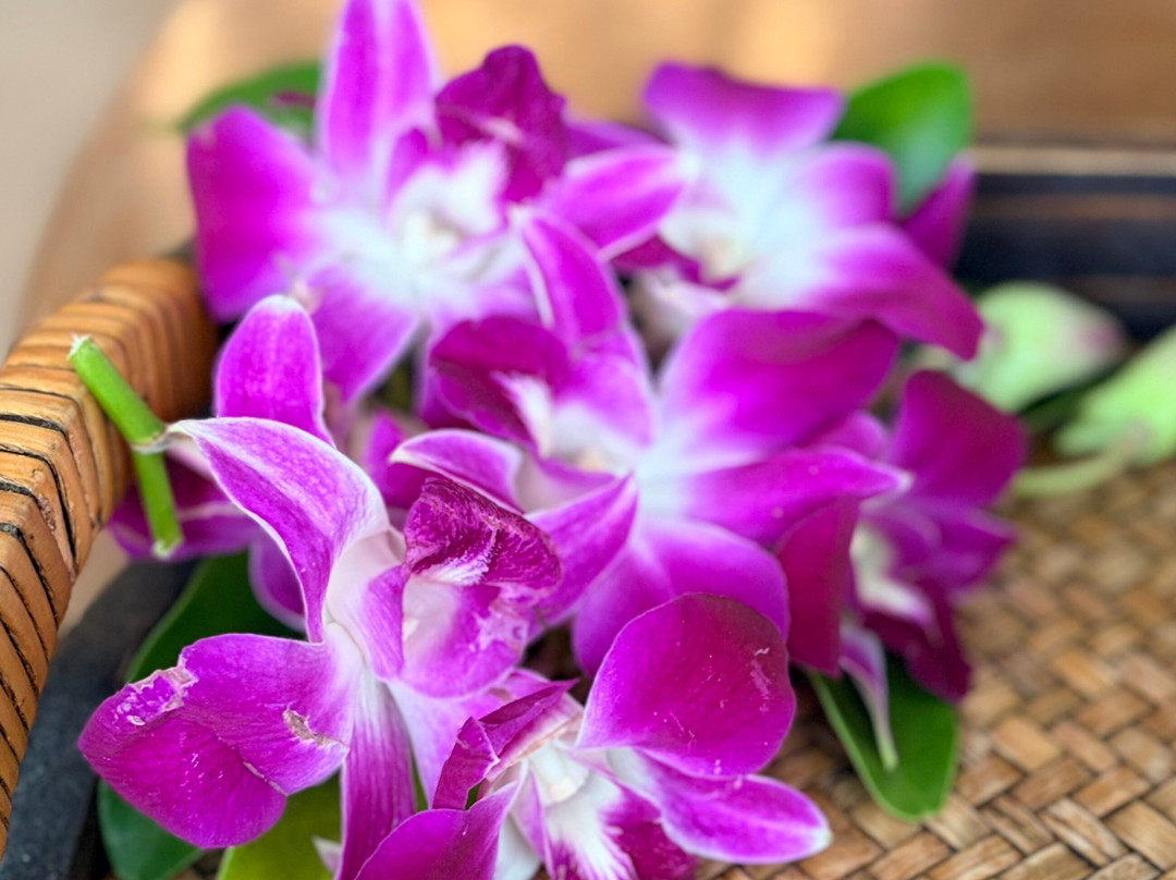 Pearl Spa in Phuket-Karon Beach必去景点