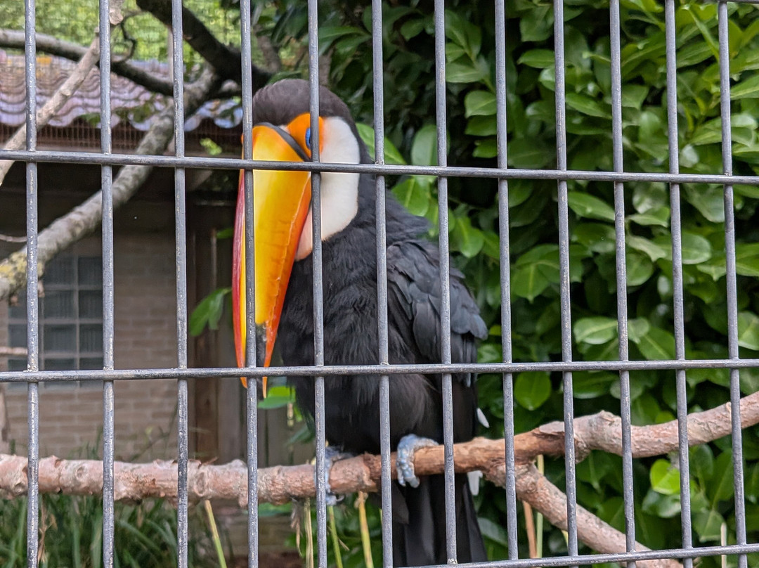 Vogelpark Avifauna-Alphen aan den Rijn必去景点