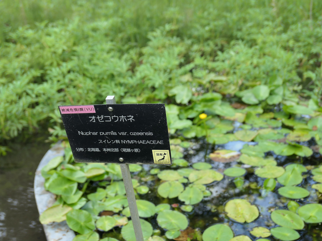 Tsukuba Botanical Garden-筑波市必去景点