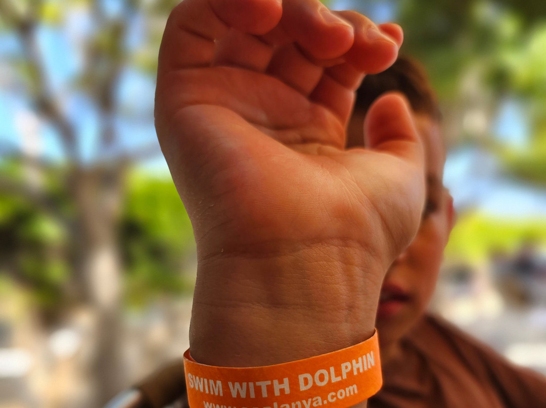 Sealanya Dolphinpark Seapark-蒂尔克莱尔必去景点