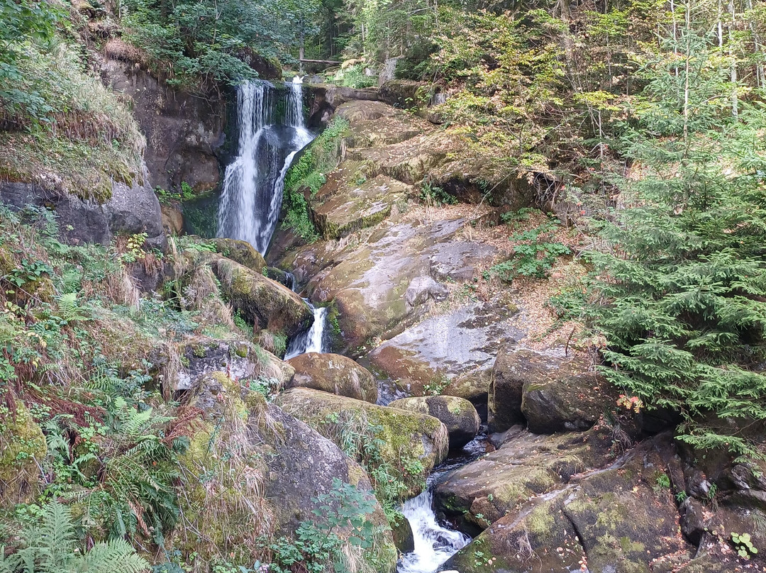 Triberger Waterfall-特里贝格必去景点
