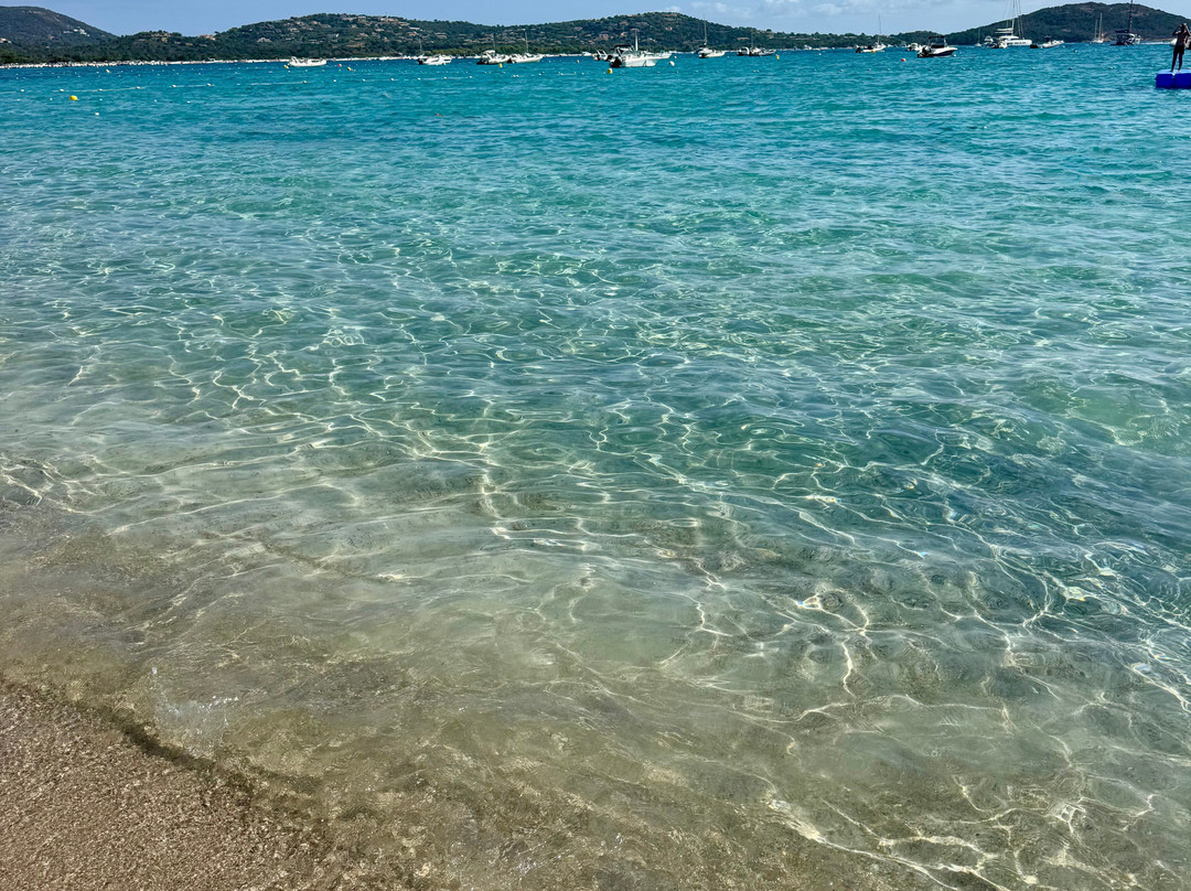 Plage Saint-Cyprien-维琪奥港必去景点