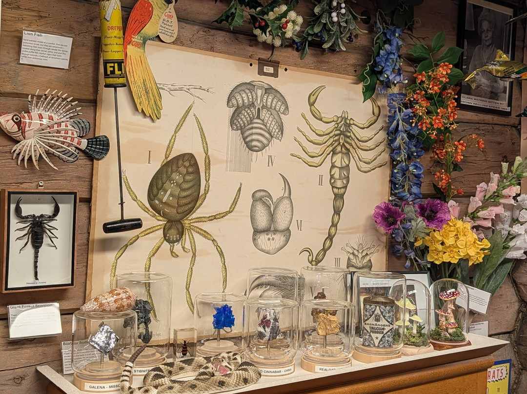 Museum of Poison-卑尔根必去景点