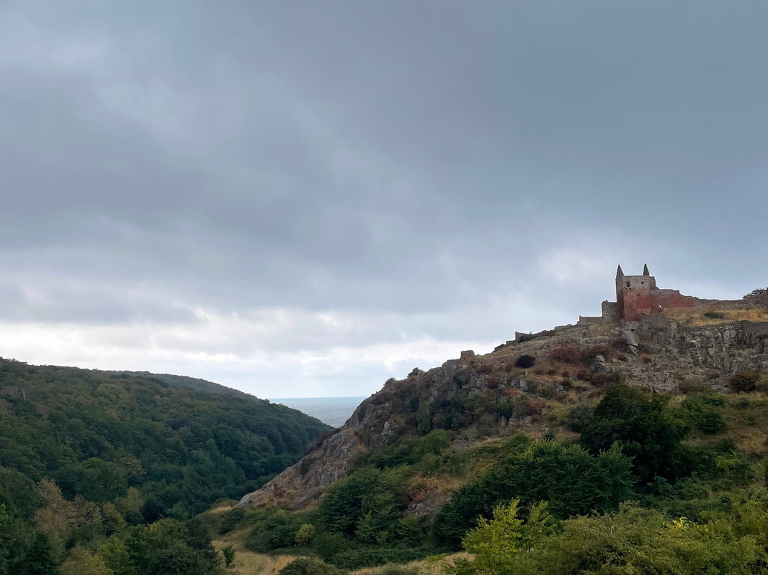 Hammershus Castle Ruins-阿灵厄必去景点