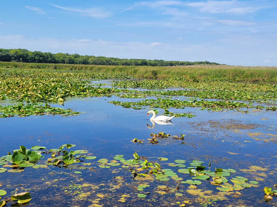 Point Pelee National Park-利明顿必去景点