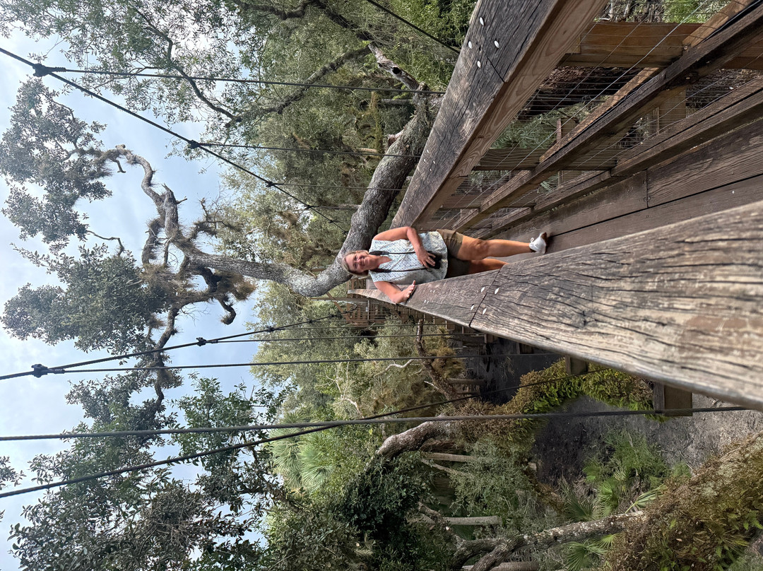 Myakka River State Park-萨拉索塔必去景点