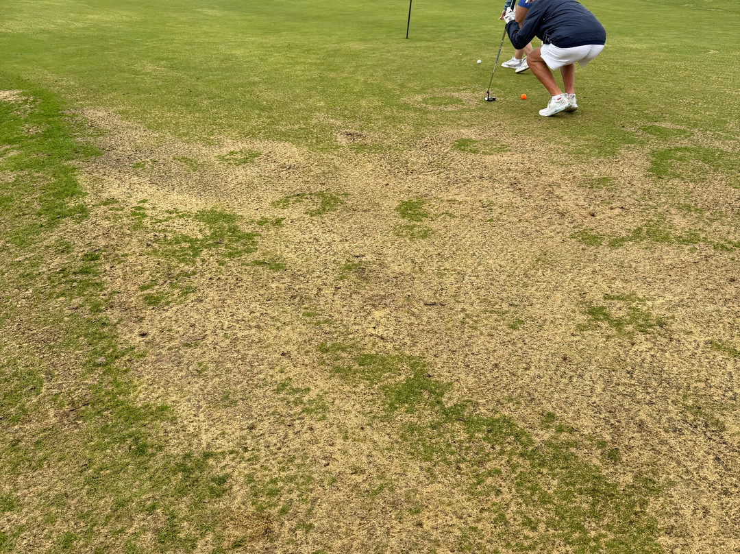 Golf de Belle Dune-Fort-Mahon-Plage必去景点