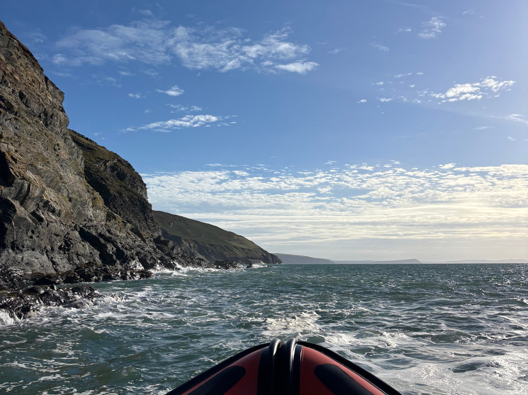 A Bay To Remember Wildlife Boat Trips-St. Dogmaels必去景点