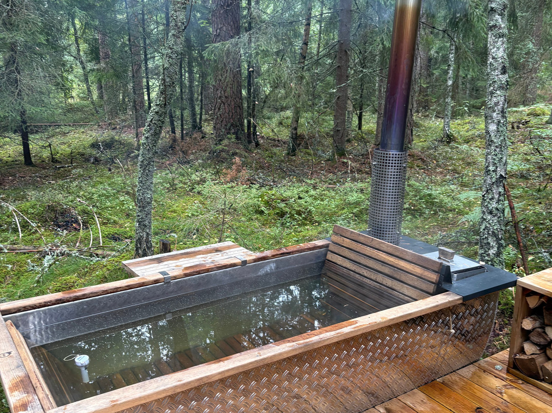 Trakt Forest Hotel主图