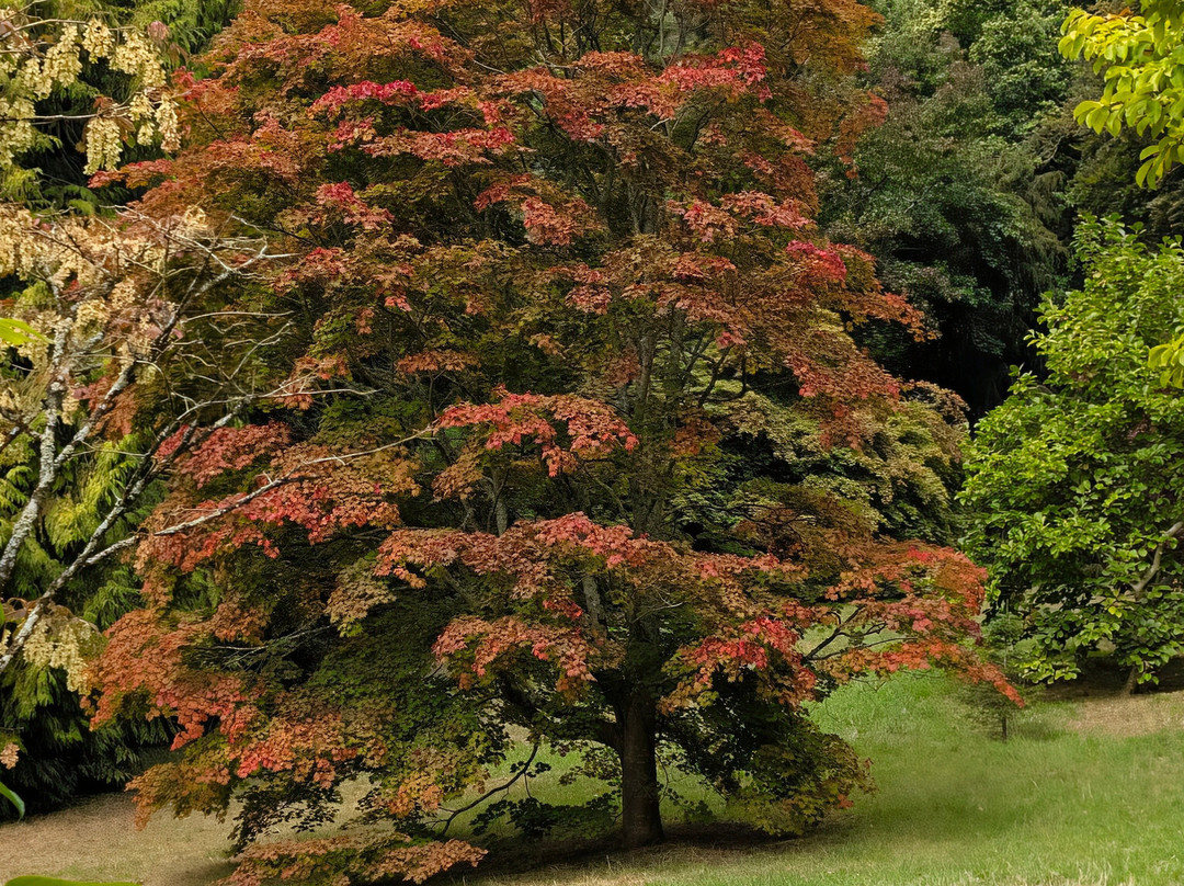 Killerton-Broadclyst必去景点