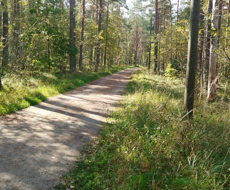 Harku Forest Nature Trail-塔林必去景点