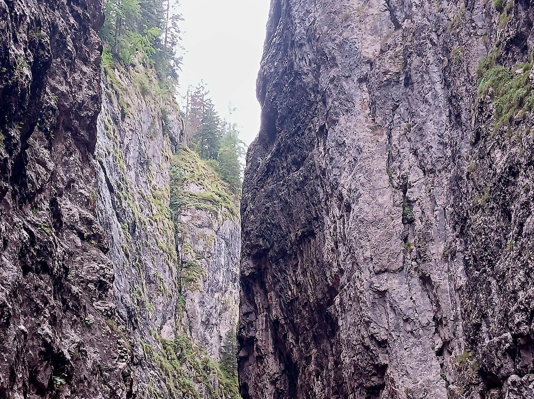Serrai di Sottoguda-罗卡皮耶托雷必去景点