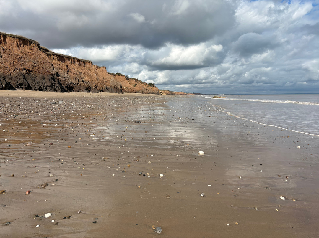 Mappleton Beach-Mappleton必去景点