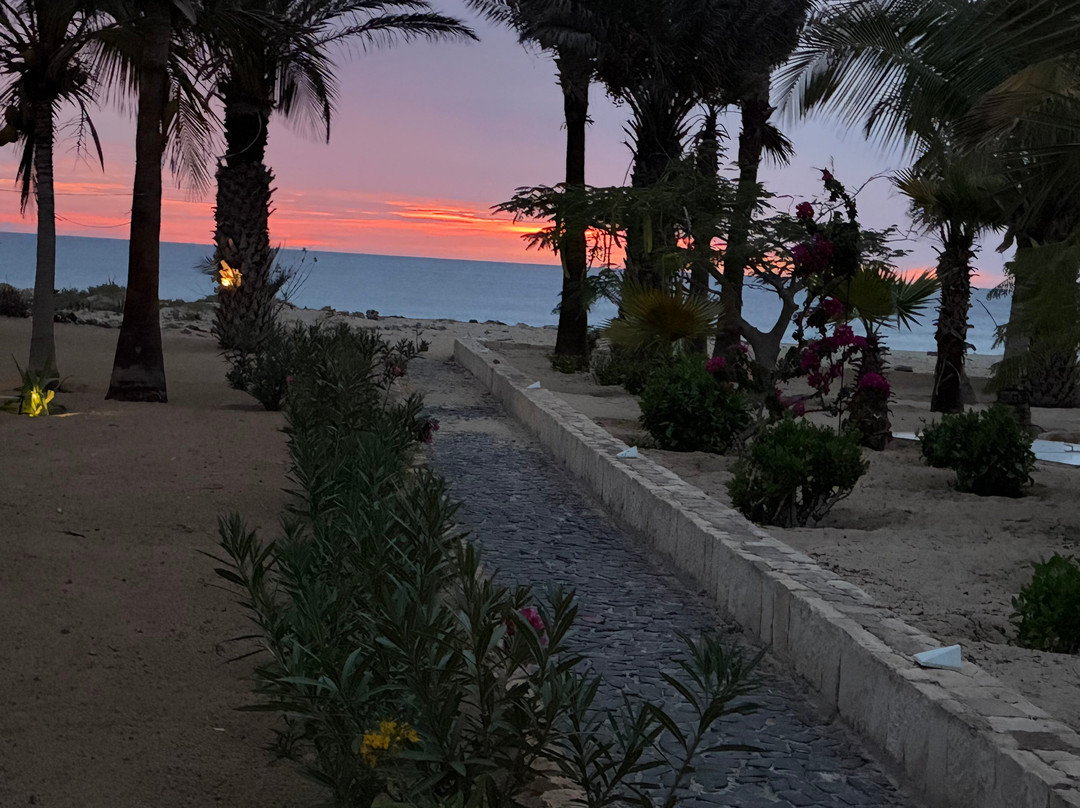 Pier Boa Vista Tours-博阿维斯塔必去景点