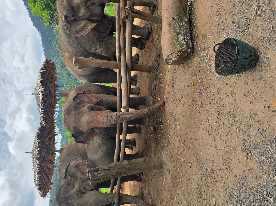New Elephant Home-Kuet Chang必去景点